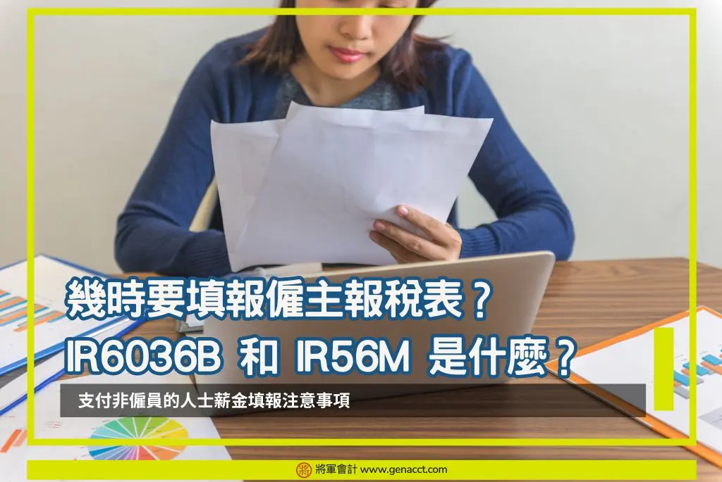 僱主報稅表IR6036B